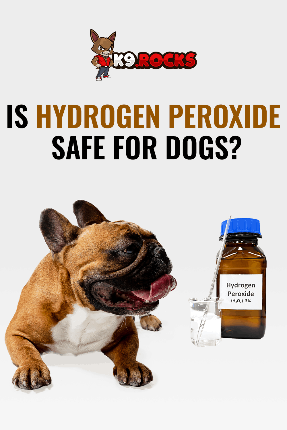 Is Hydrogen Peroxide Safe For Dogs? K9 Rocks