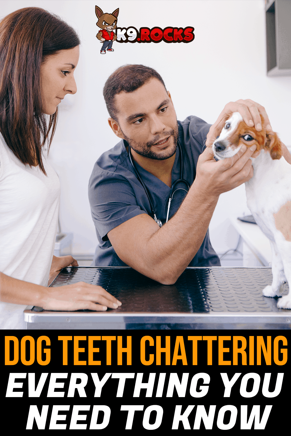 Why Is My Dogs Jaw Chattering