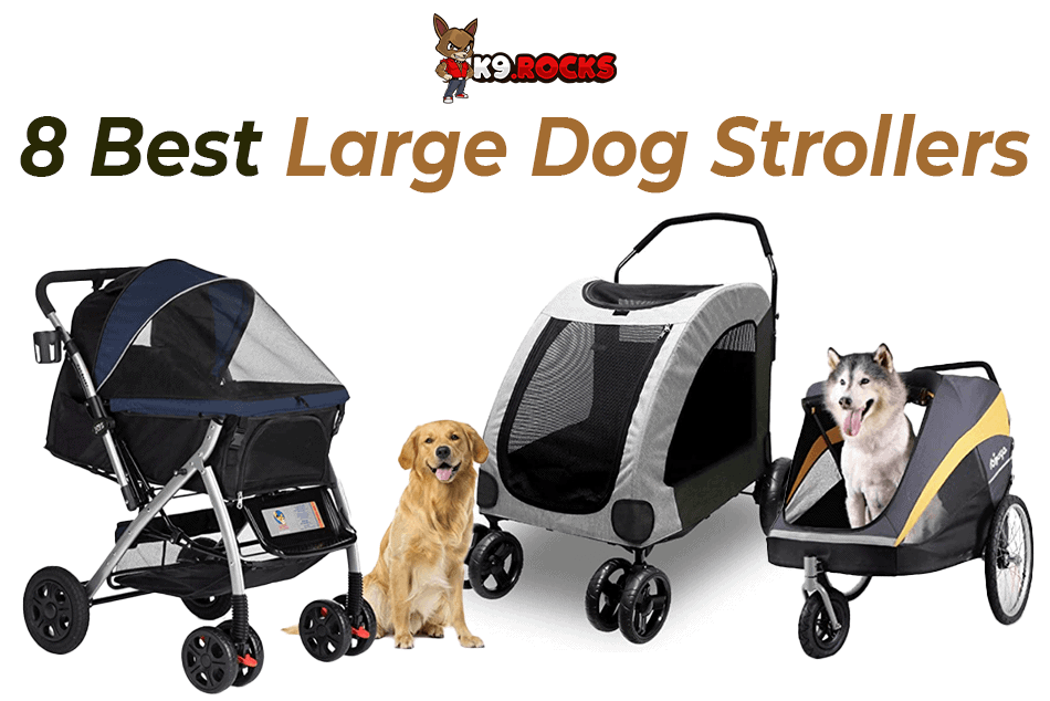 8 Best Large Dog Strollers K9 Rocks