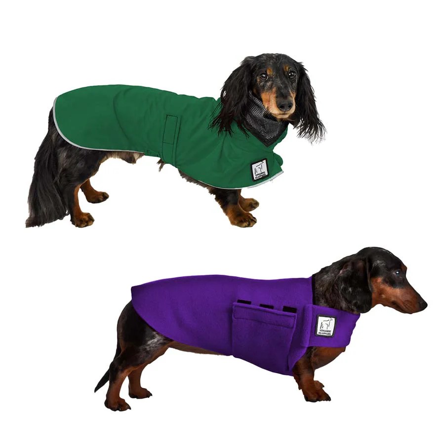 Dachshund Fall Essentials Combo Voyagers K9 Apparel