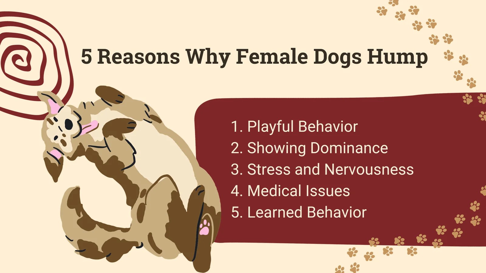 9 Ways to Calm a Sexually Excited Dog