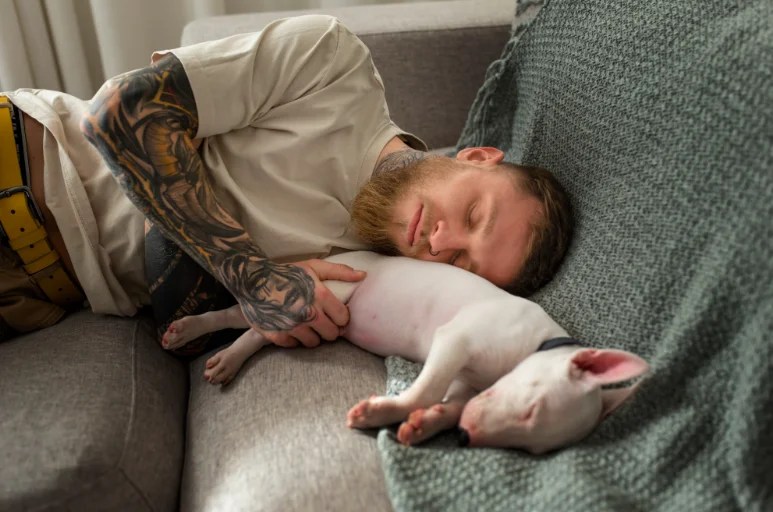 Why Does My Dog Like to Sleep On Me?