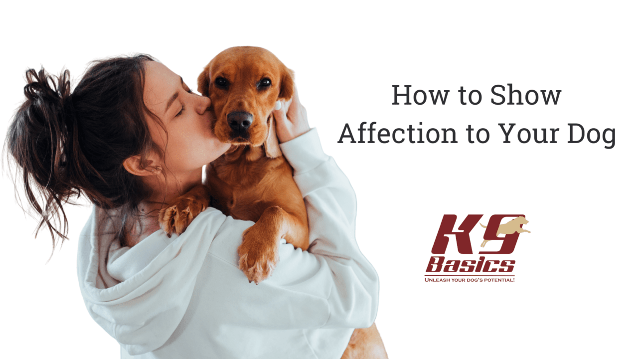How to Show Affection to Your Dog