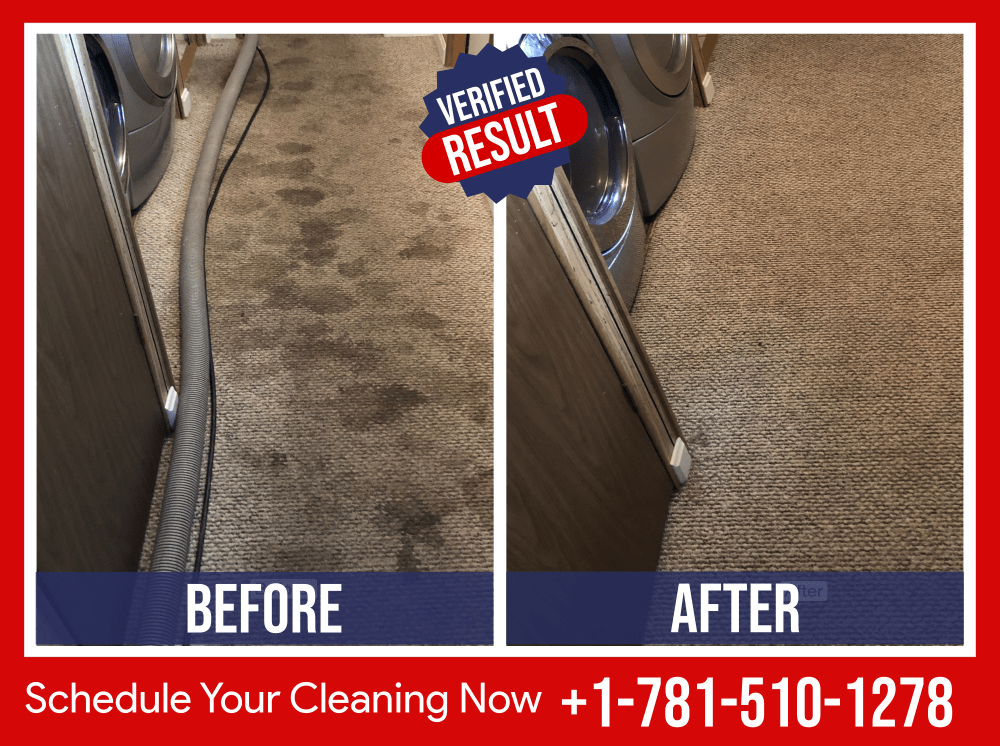Home Carpet Cleaning k9 Carpet Cleaning