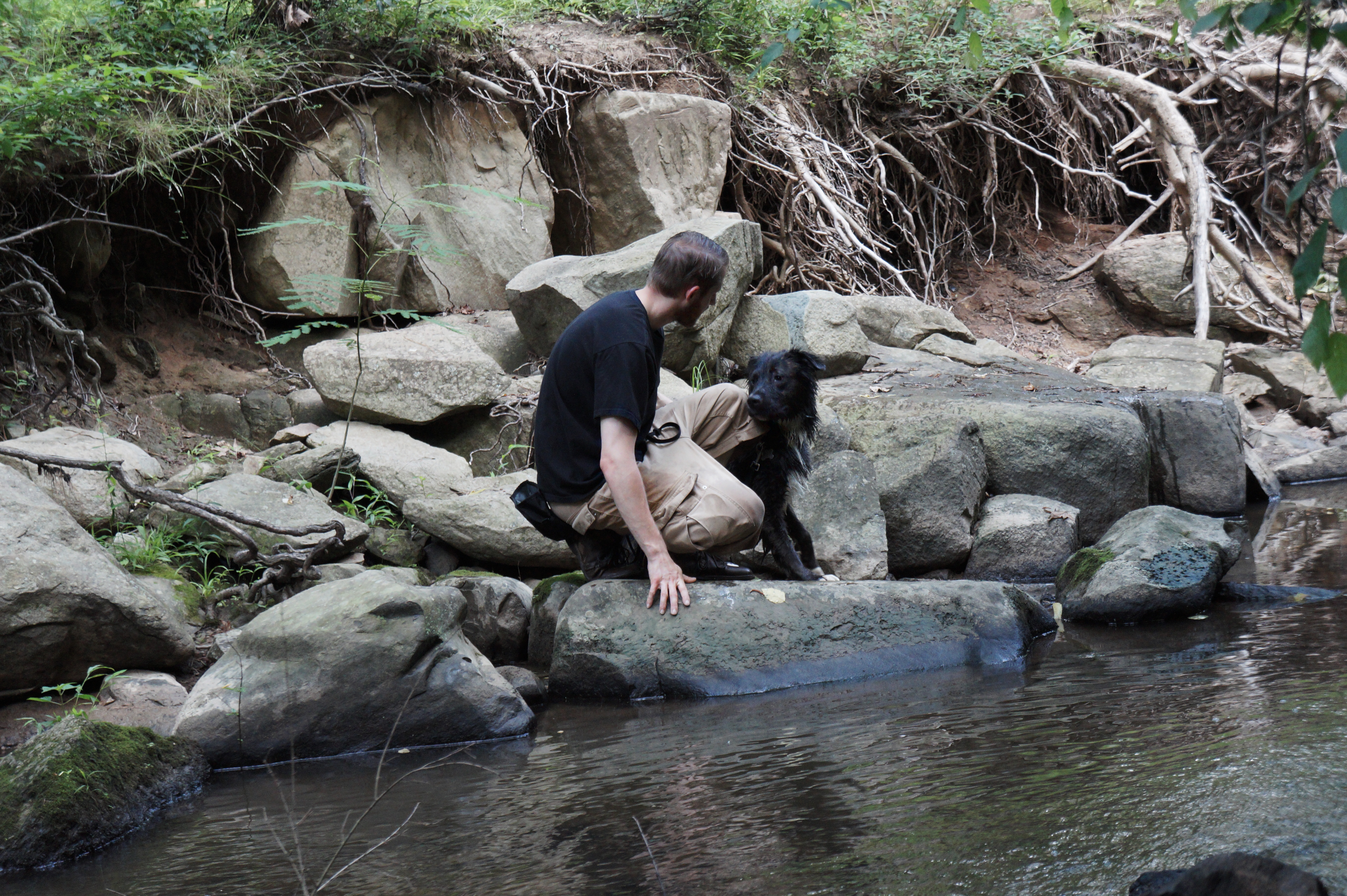  Dog Training Durham Chapel Hill NC