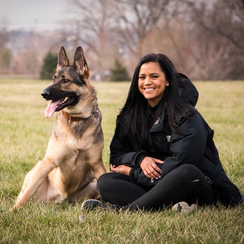 Hire our dog trainer in New York Dog Trainers K9 Elite