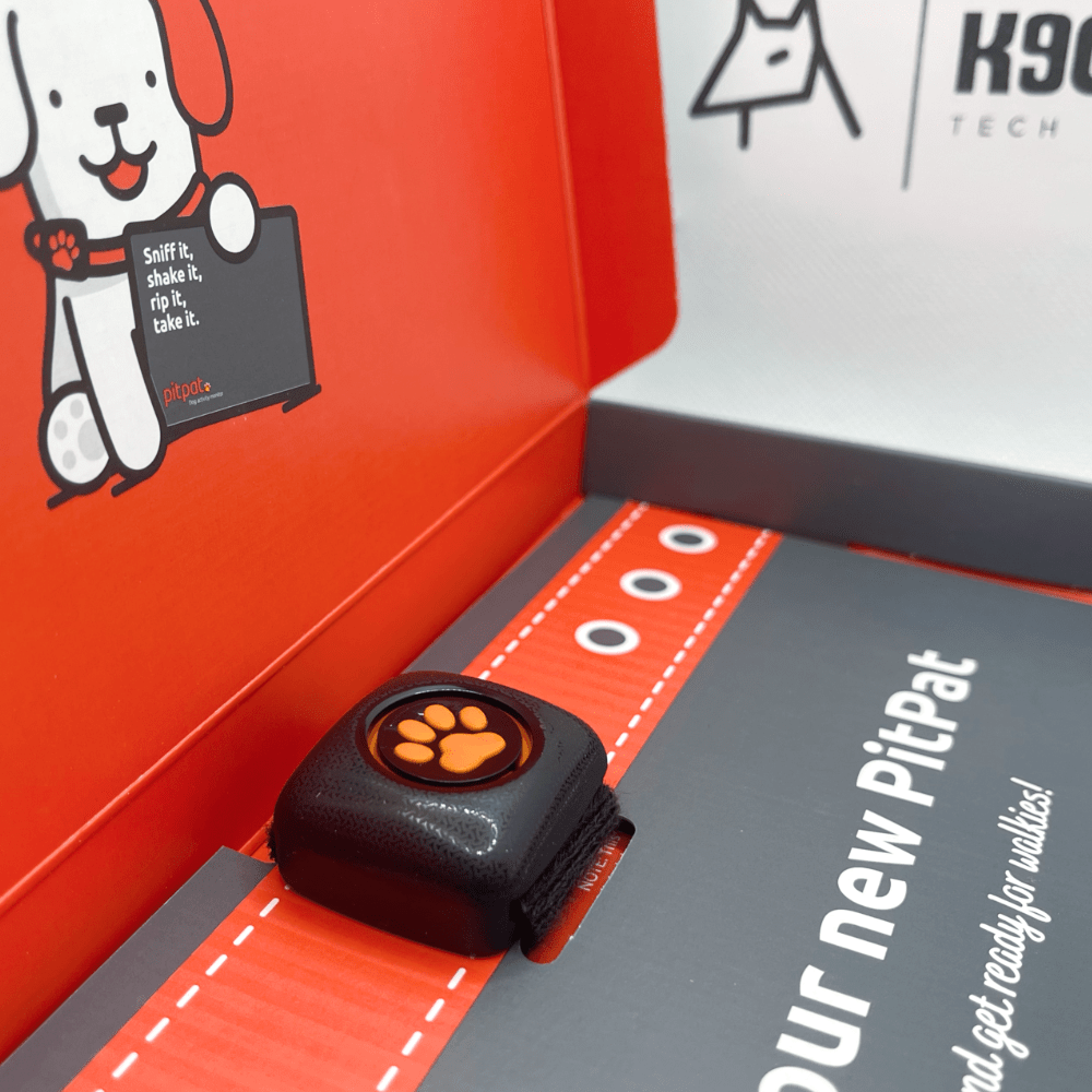PitPat Dog Activity and Fitness Monitor Review K9Gadget