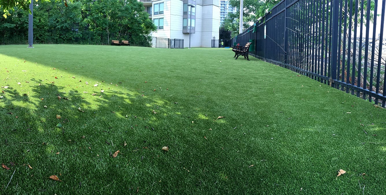 Artificial Grass for Apartments K9Grass by ForeverLawn