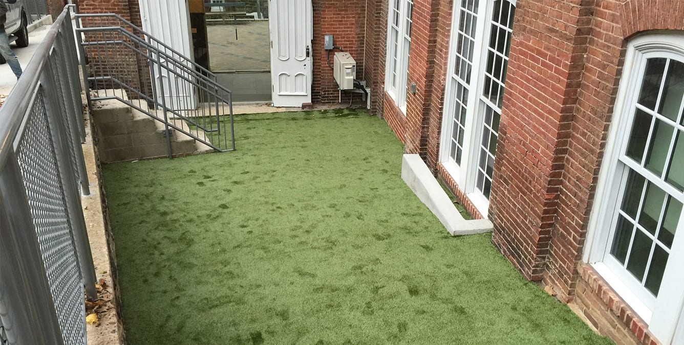 Artificial Grass for Apartments K9Grass by ForeverLawn