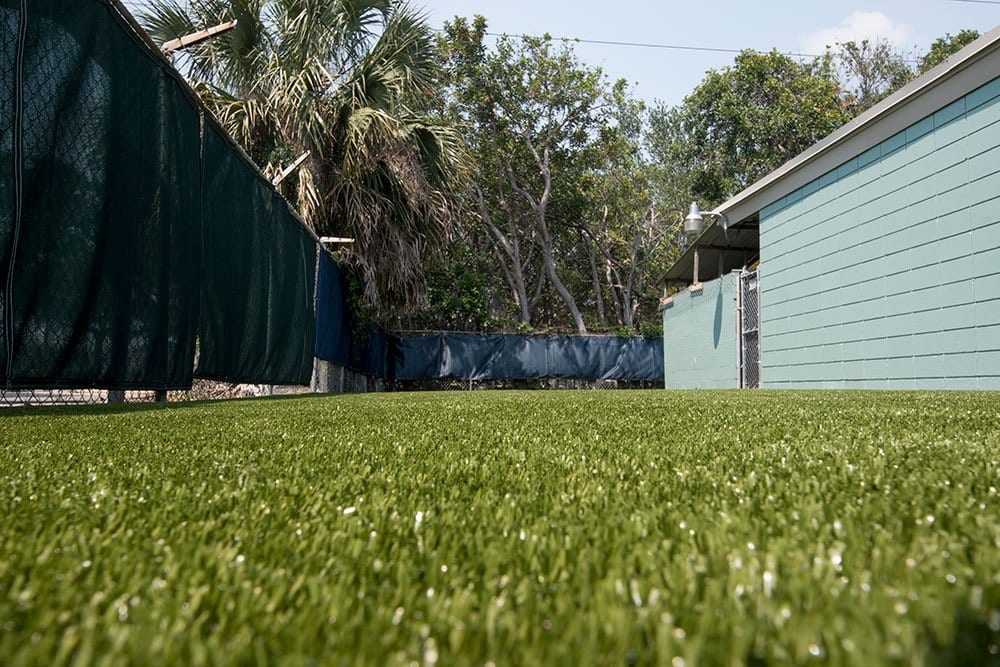 Veterinary Facilities Archives K9Grass by ForeverLawn