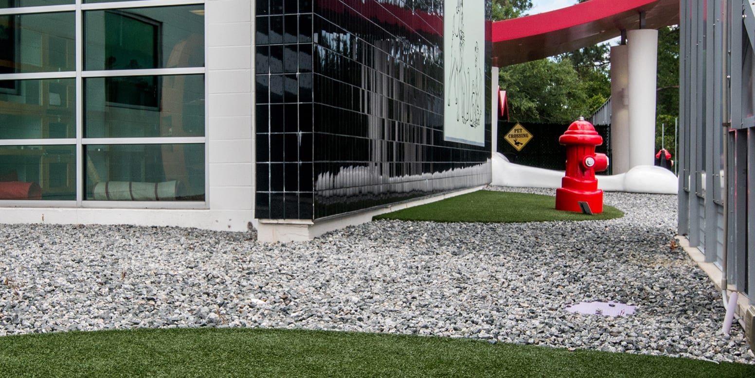 Best Friends Pet Care Featured Project ForeverLawn, Inc.