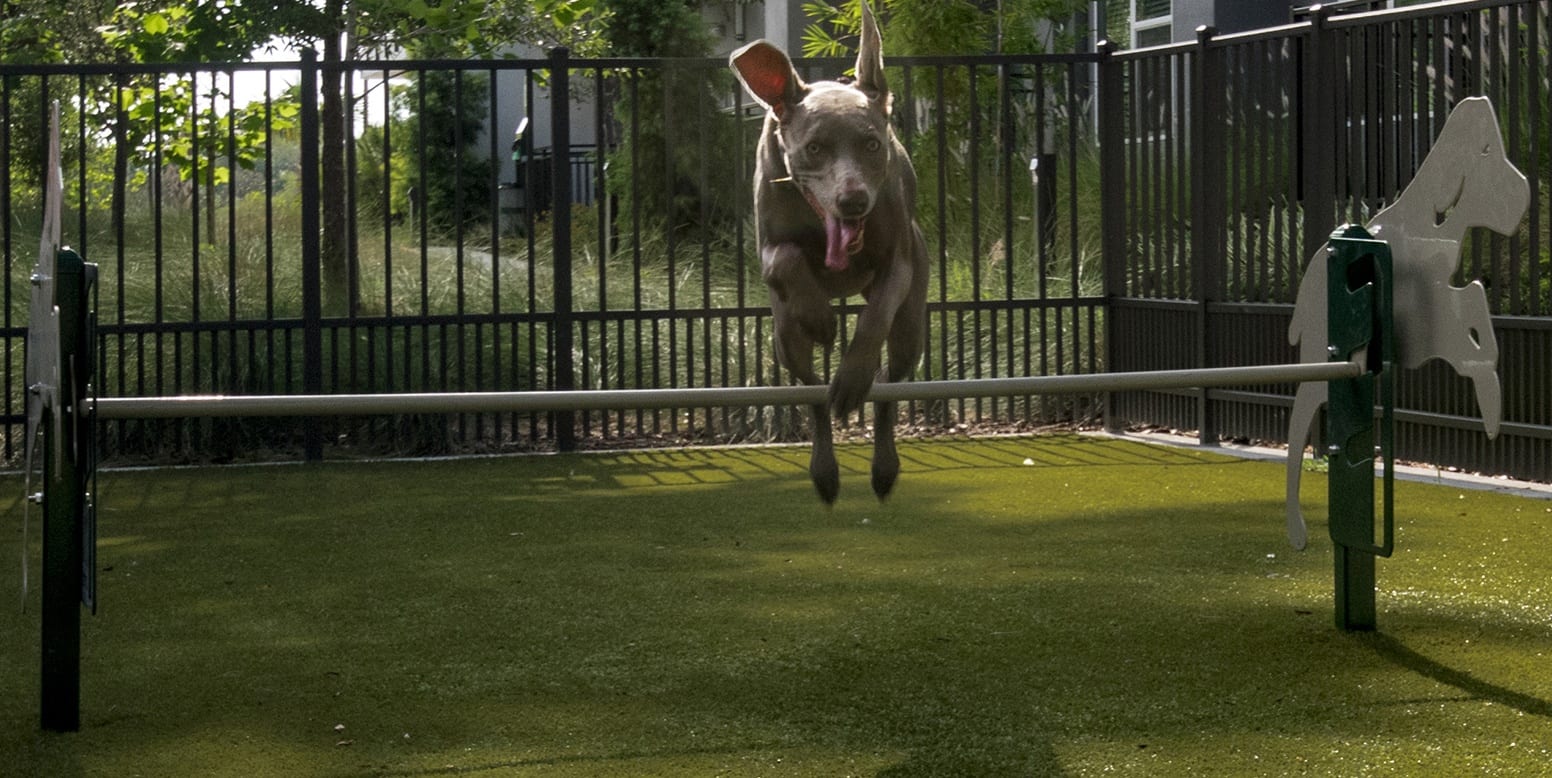 Crescent Westshore Apartments Tampa, FL ForeverLawn, Inc.