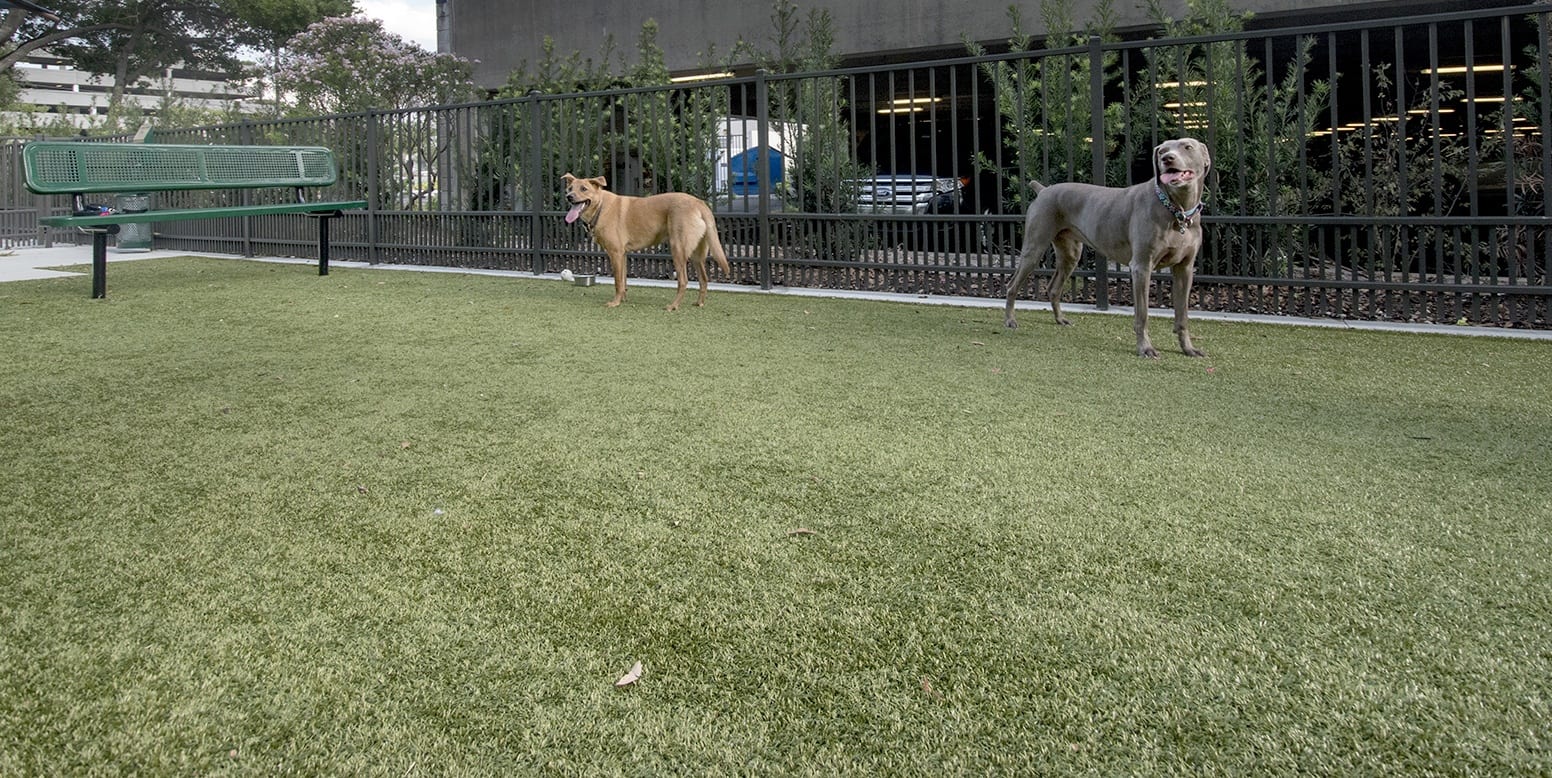 Crescent Westshore Apartments Tampa, FL ForeverLawn, Inc.