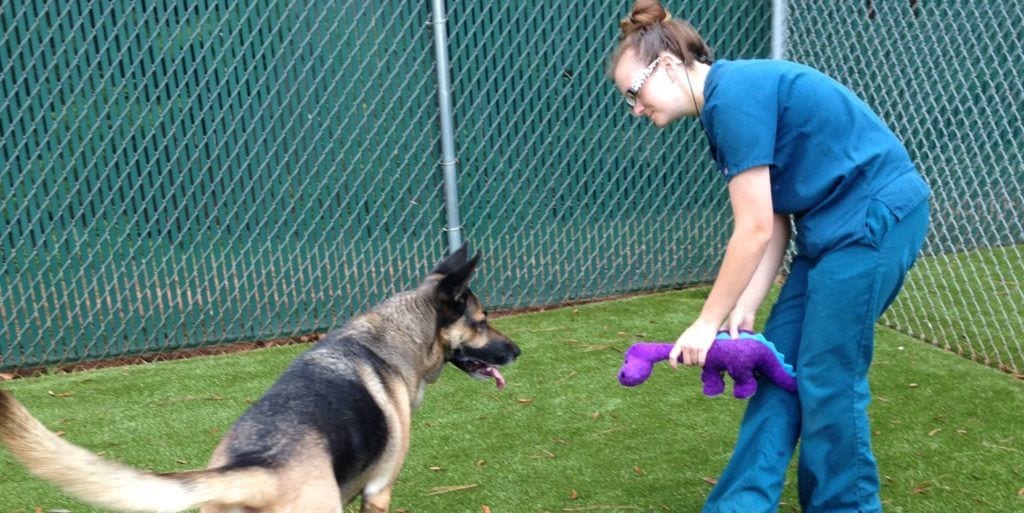 Cherokee Trail Veterinary Hospital Lexington, SC K9Grass by ForeverLawn