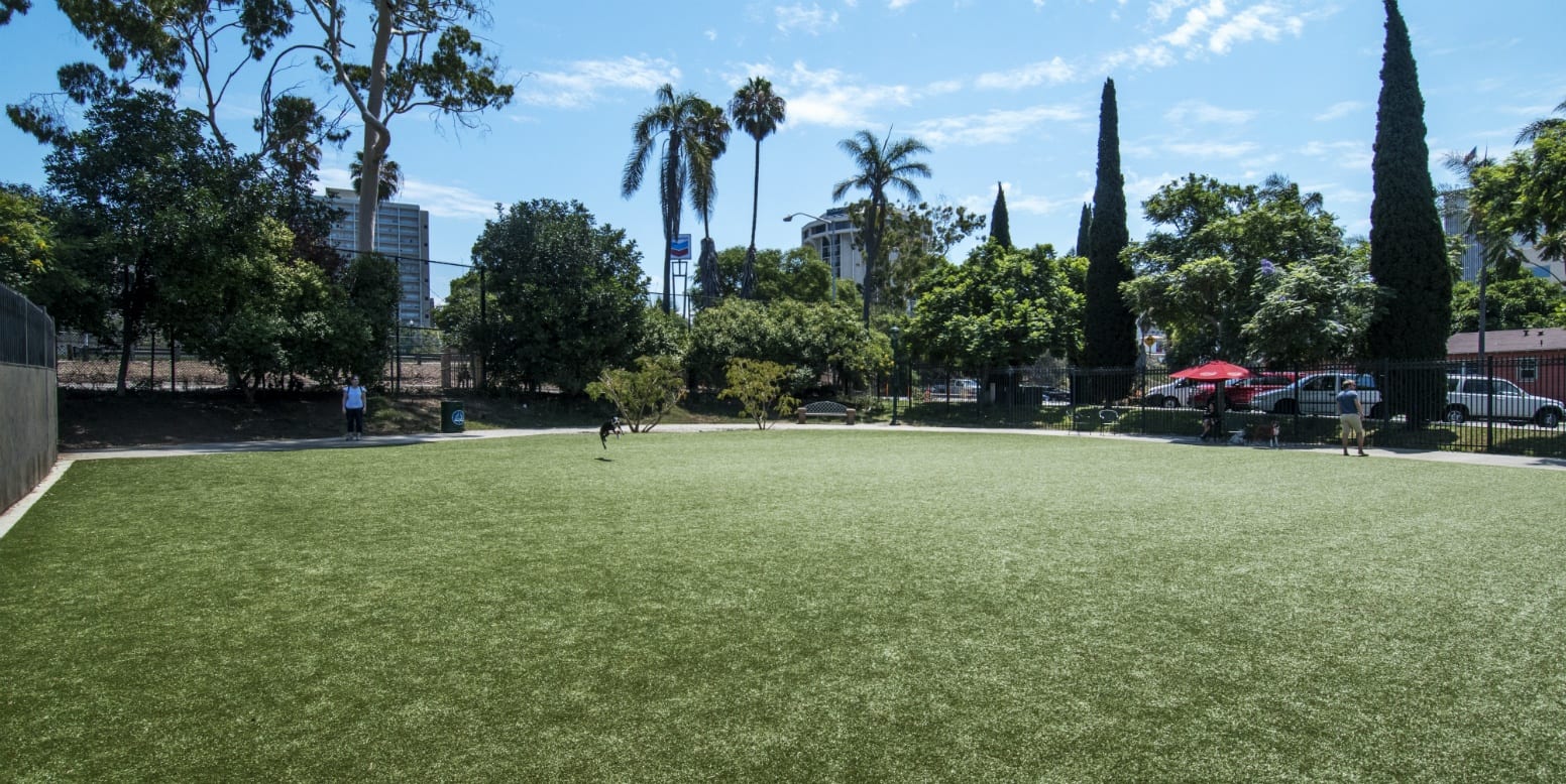 Little Italy Dog Park San Diego, CA K9Grass by ForeverLawn