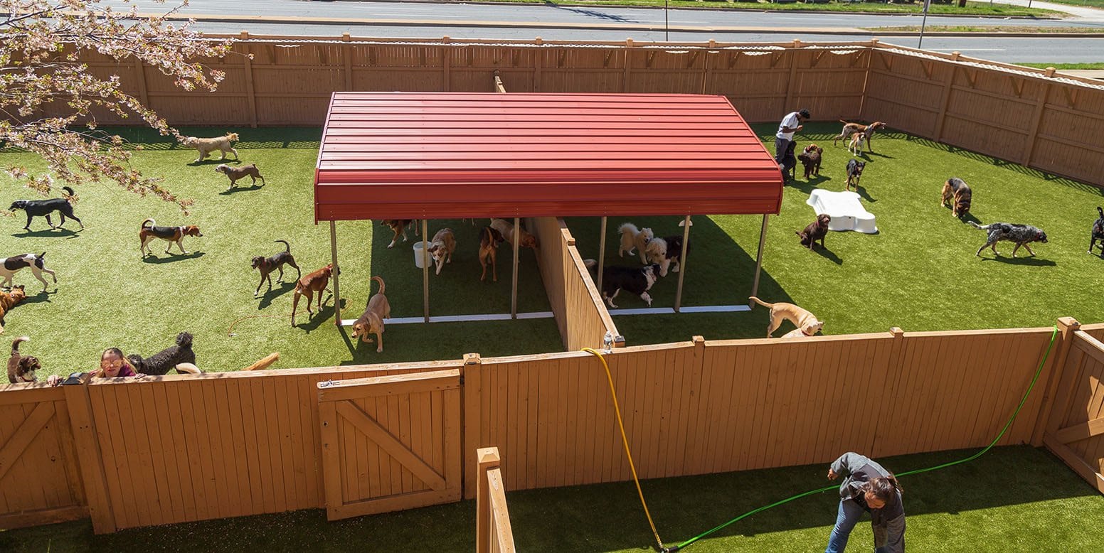 Best Friends Fur Ever Cockeysville, MD K9Grass by ForeverLawn