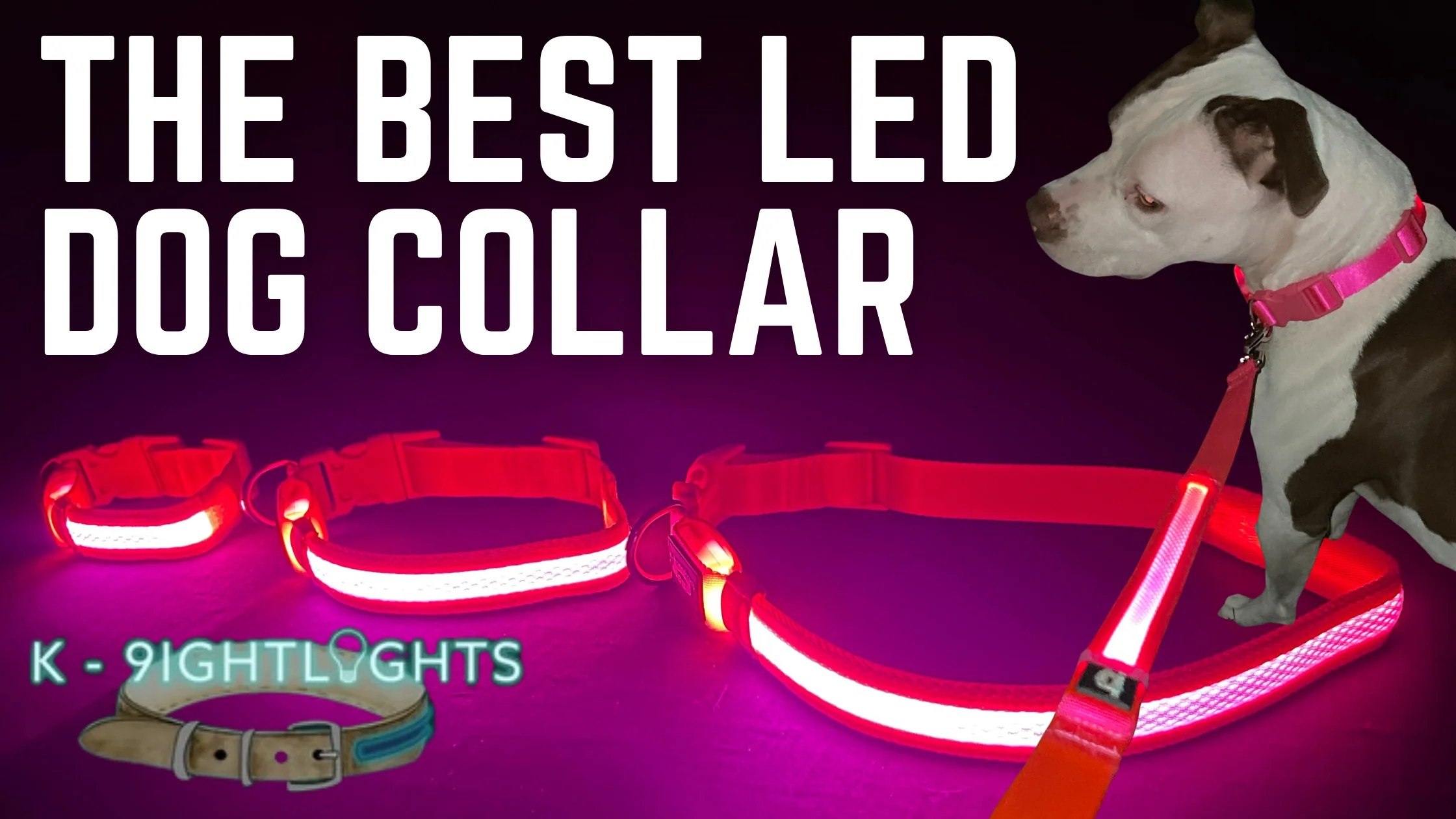 Best LED Dog Collars from K9ightlights LLC K9ightLights L.L.C.