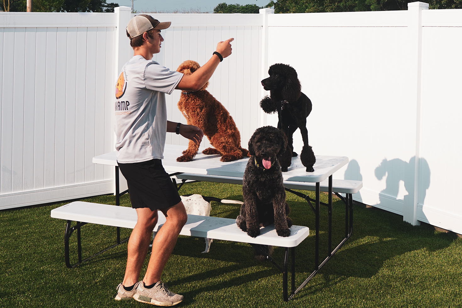 TRAINING K9 Kamp Dog Training