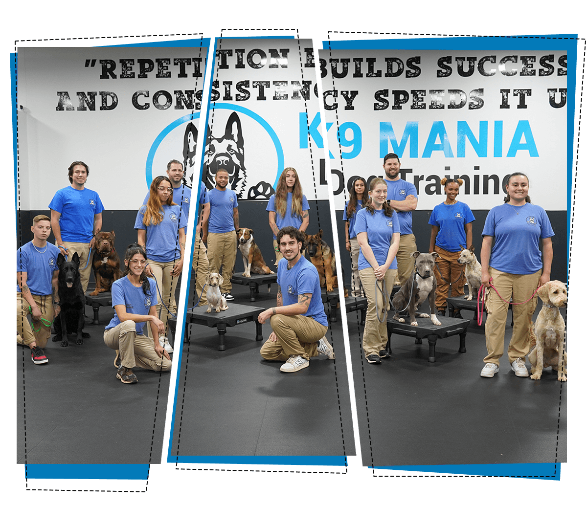 Dog Board And Train Long Island K9 Mania Dog Training