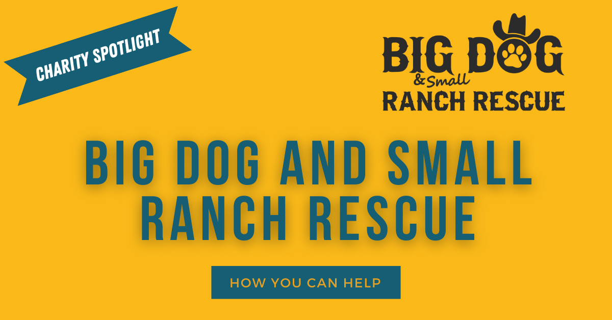 Make the World a Better Place With Big and Small Dog Ranch Rescue K9 Pie