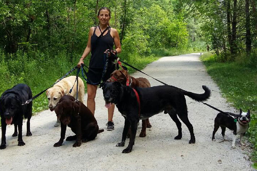 Local Pet Care services Best Dog Groomer Toronto Dog Daycare