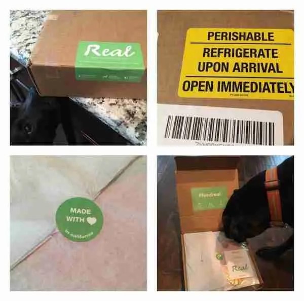 Real Dog Box The freshest Dog Treats on the K9sOverCoffee