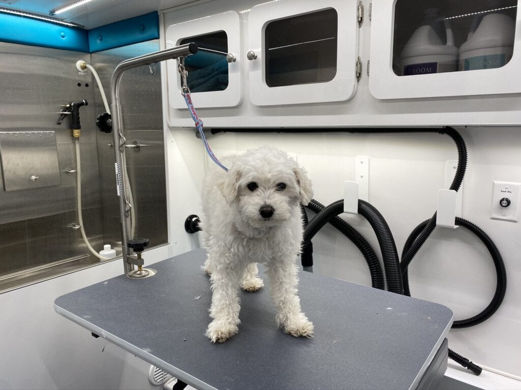 Check Our Gallery Grooming Services SudsScissors