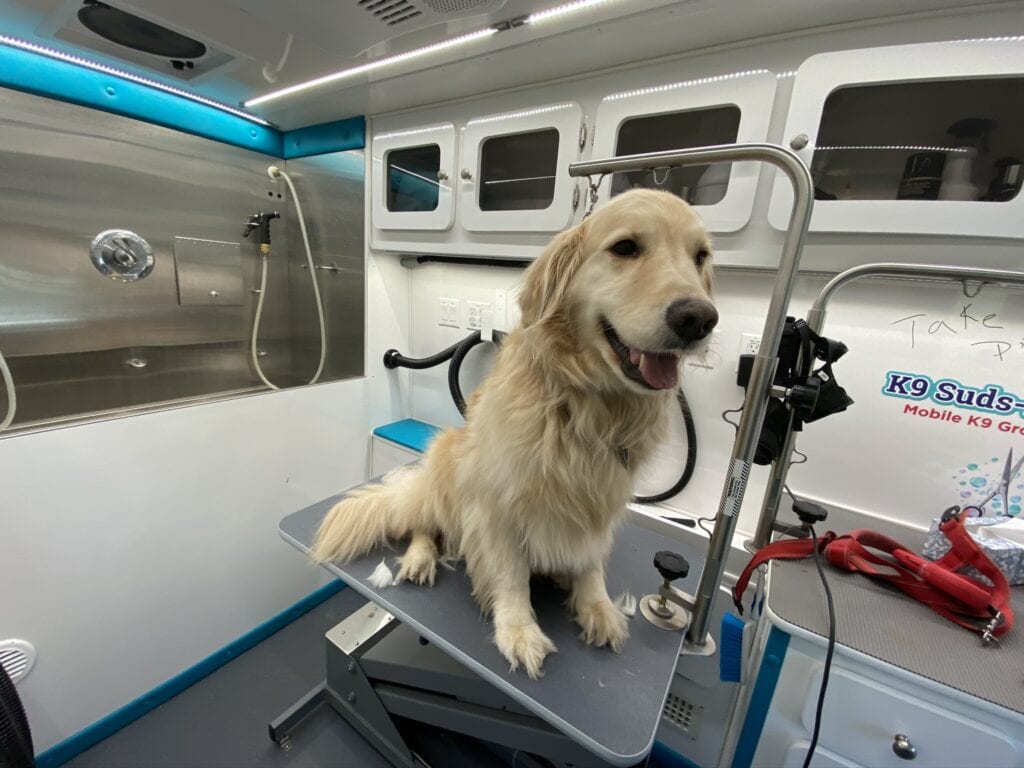 Check Our Gallery Grooming Services SudsScissors