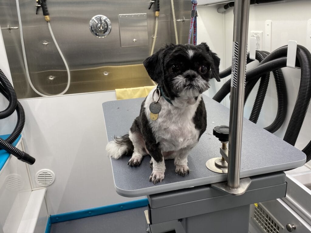 Check Our Gallery Grooming Services SudsScissors