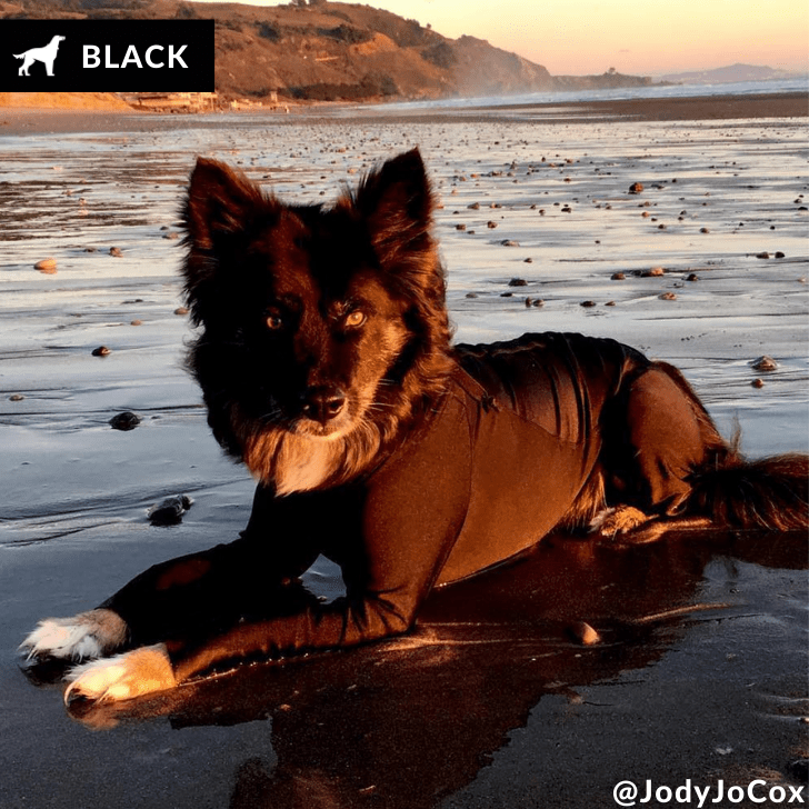 Lycra Bodysuit Dog Allergy Solutions K9 Top Coat