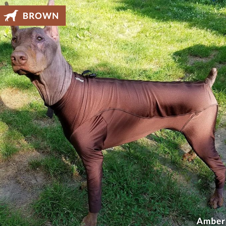 Lycra Bodysuit Dog Allergy Solutions K9 Top Coat