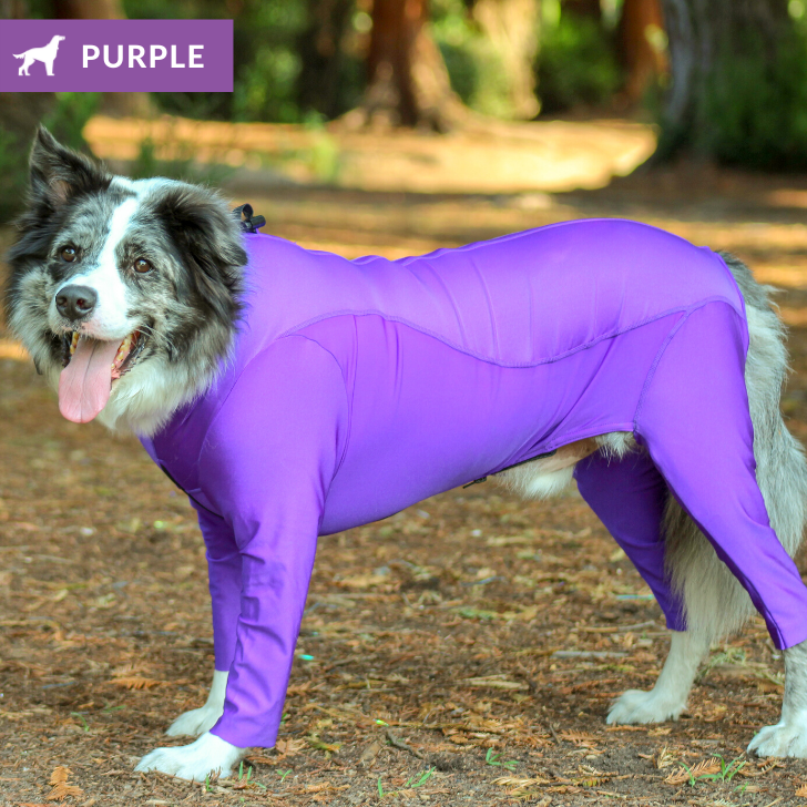 Lycra Bodysuit Dog Allergy Solutions K9 Top Coat