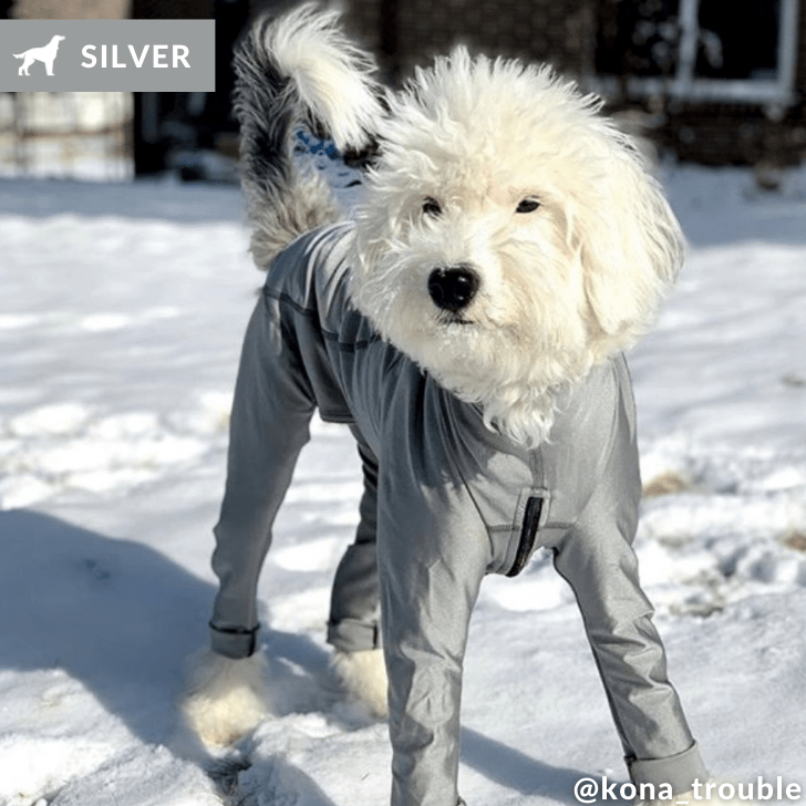 Lycra Bodysuit Dog Allergy Solutions K9 Top Coat