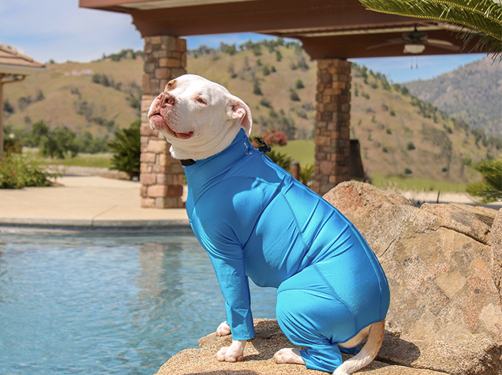 New Suit Guide K9 Top Coat