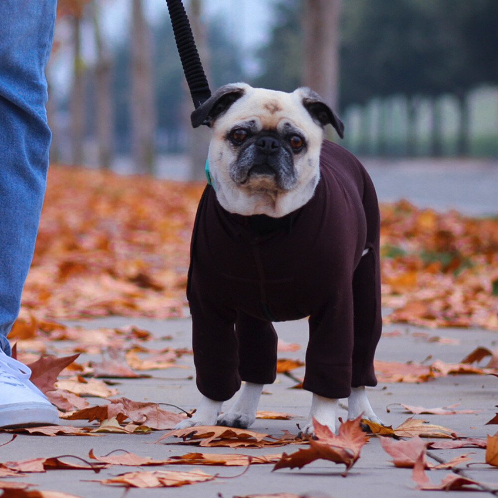 Arctic Fleece Bodysuit K9 Top Coat