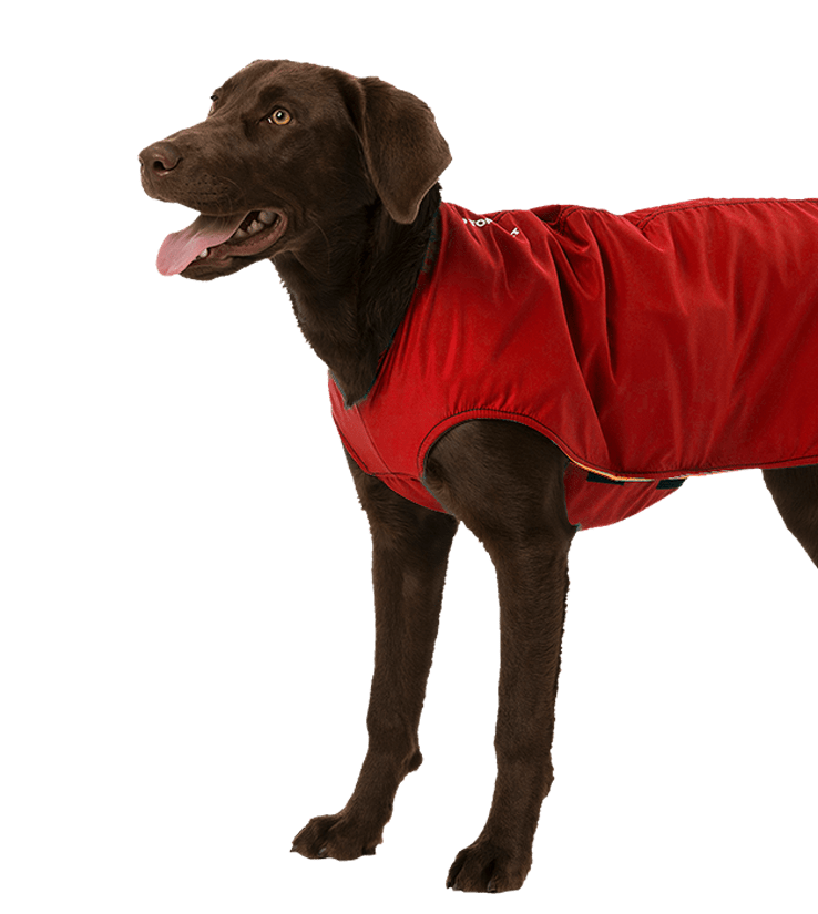 basecoat_red_right K9 Top Coat