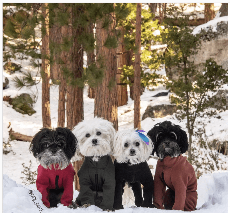 Nearly New Arctic Fleece Bodysuit K9 Top Coat