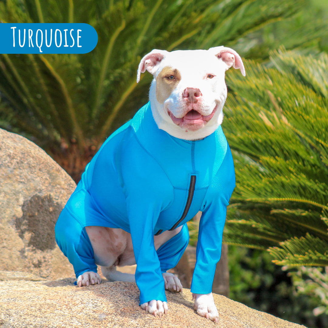 Supra Bodysuit K9 Top Coat