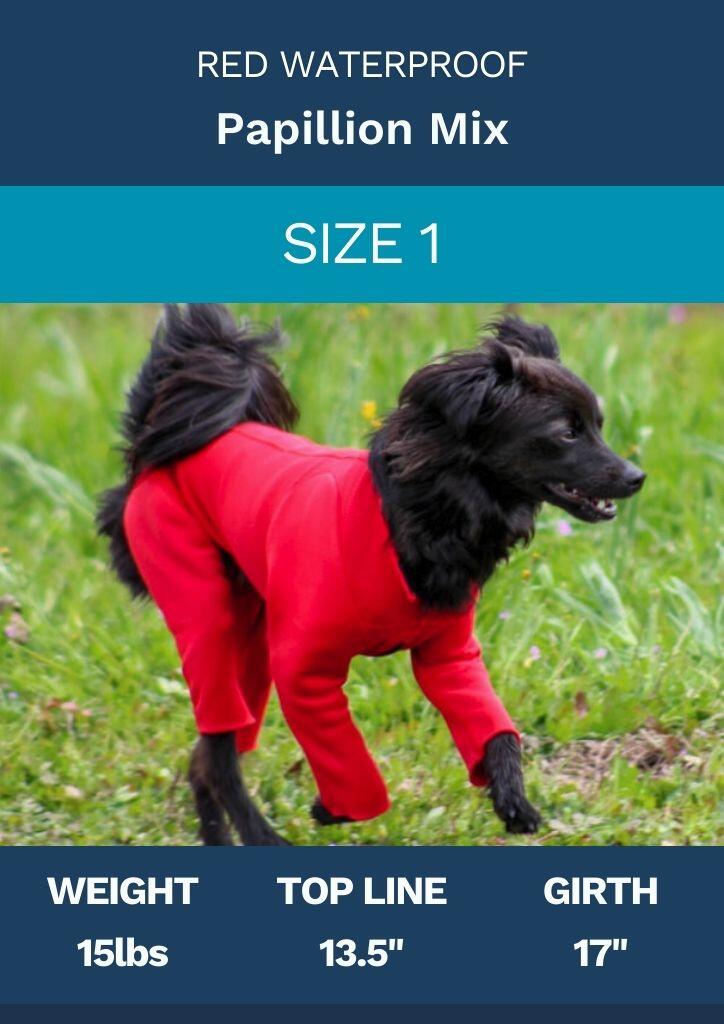 Size Gallery K9 Top Coat