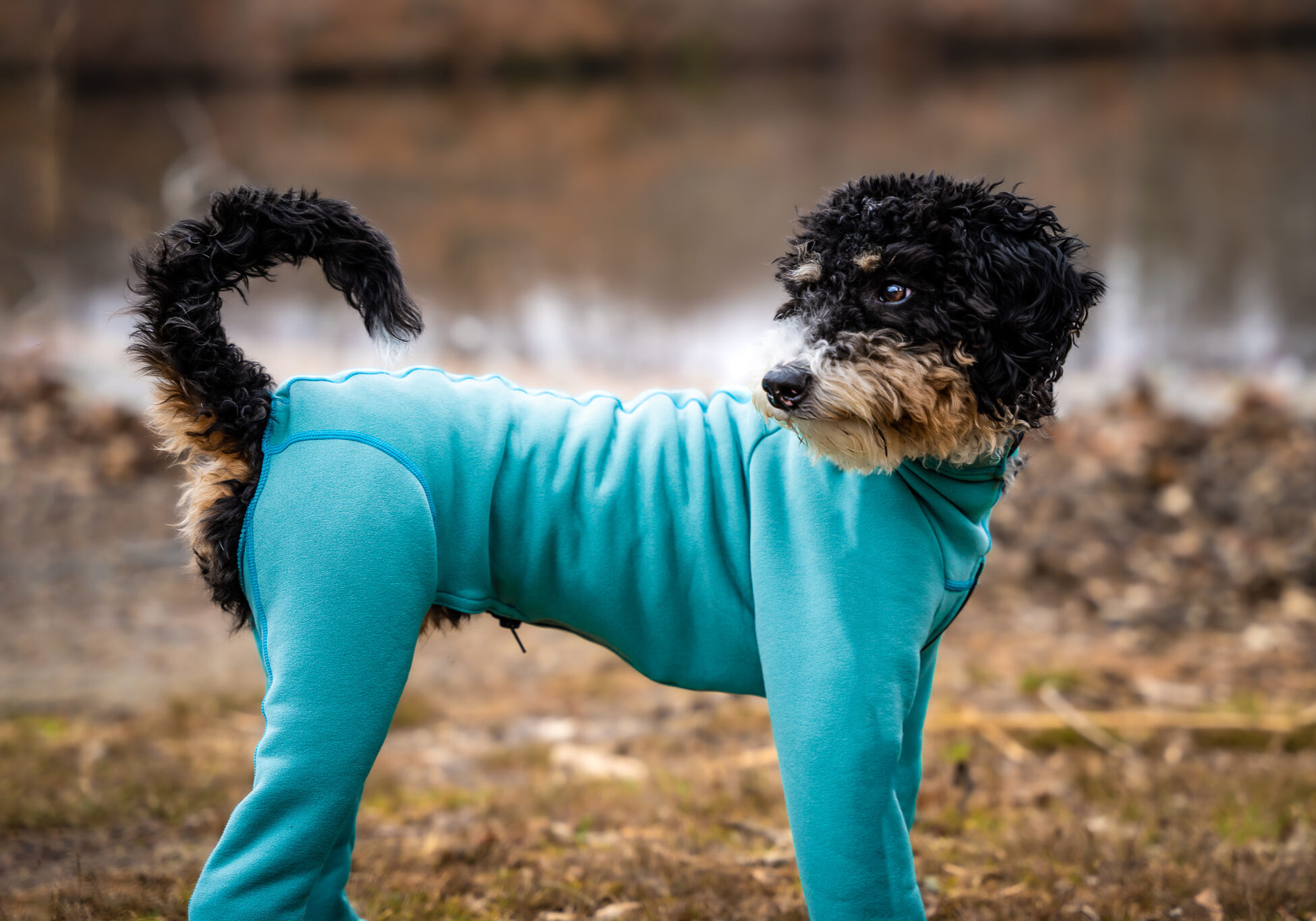 Arctic Fleece Bodysuit K9 Top Coat