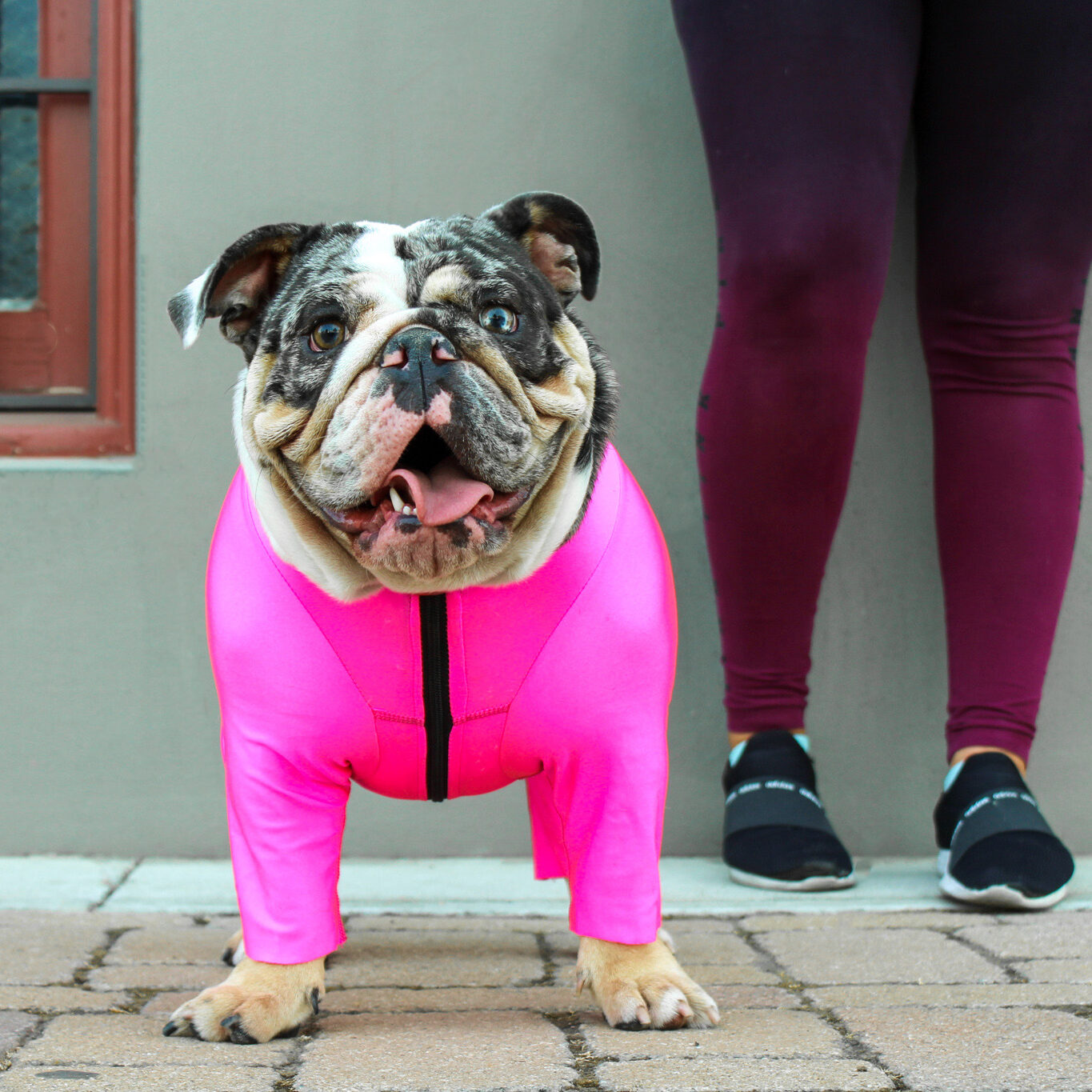 Supra Bodysuit K9 Top Coat