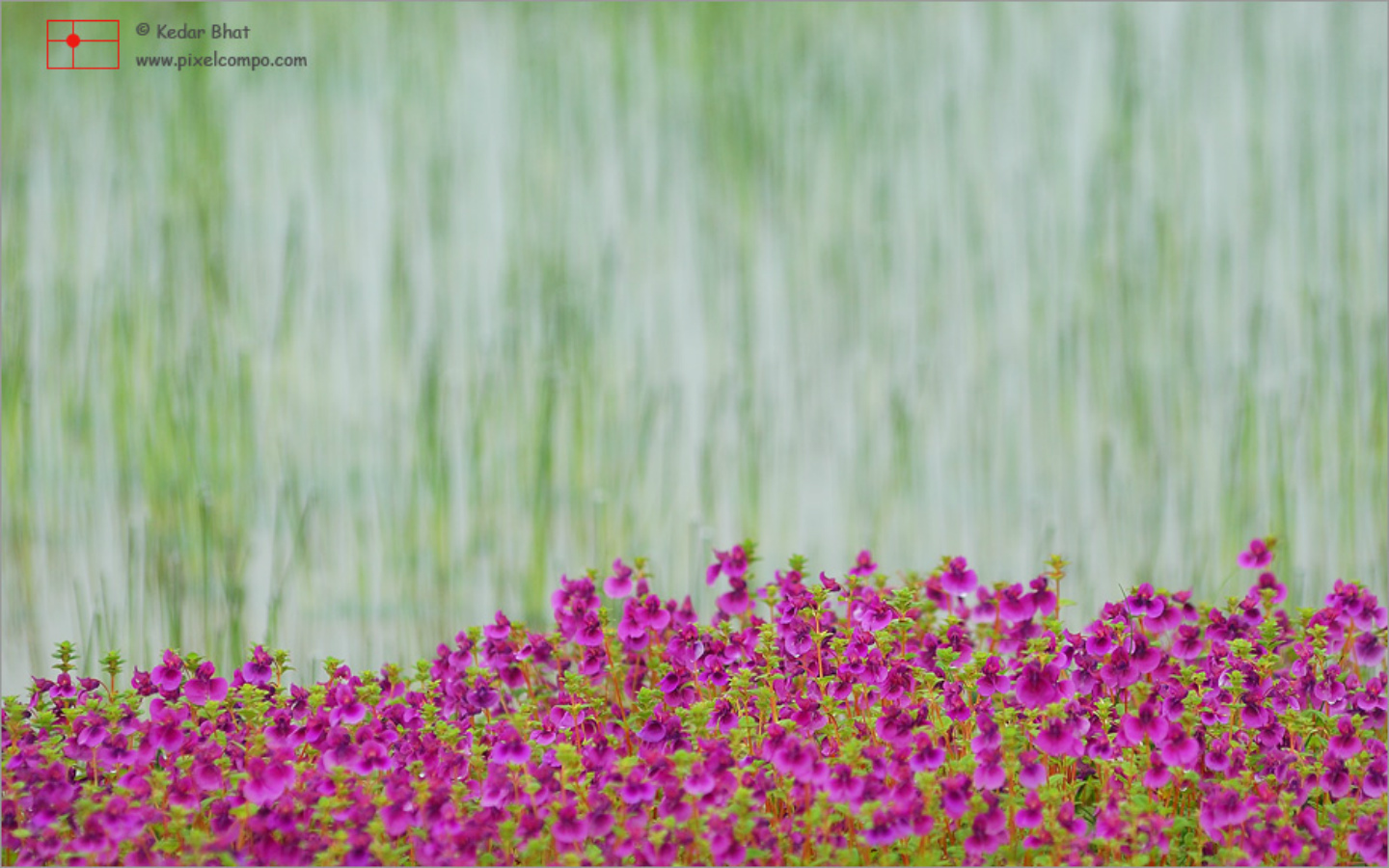 Kaas Booking Kaas Village Resort