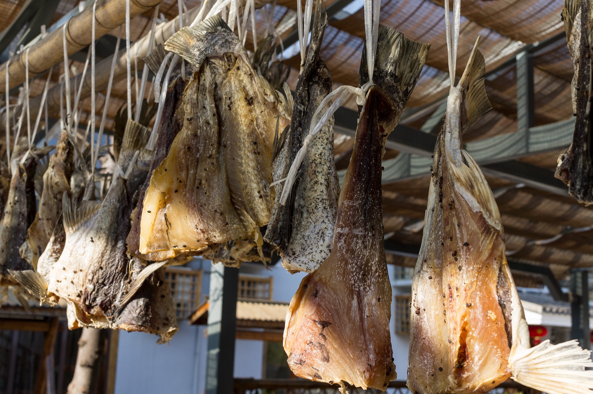 DRIED CATFISH Everything You Need To Know To Love It Or Hate It