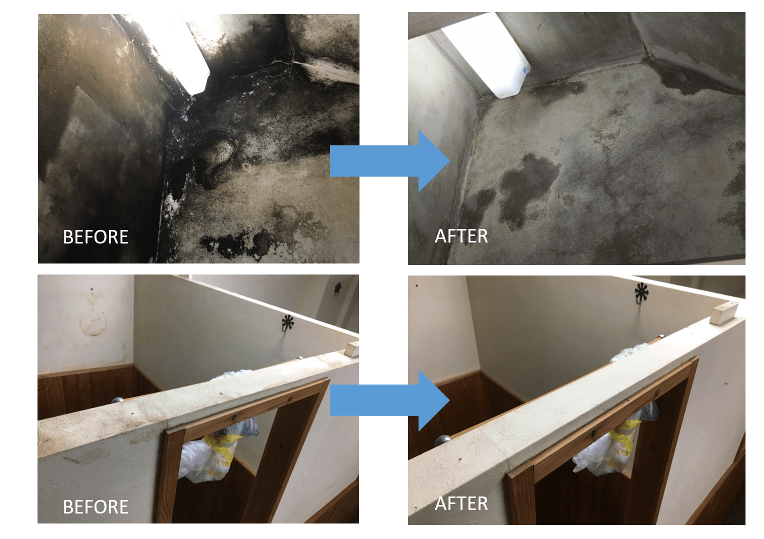 壁にカビが生える4つの原因と対策方法をカビ取りのプロが徹底解説！ カビペディア 年間300万人が利用するカビの悩みを解決する総合情報サイト