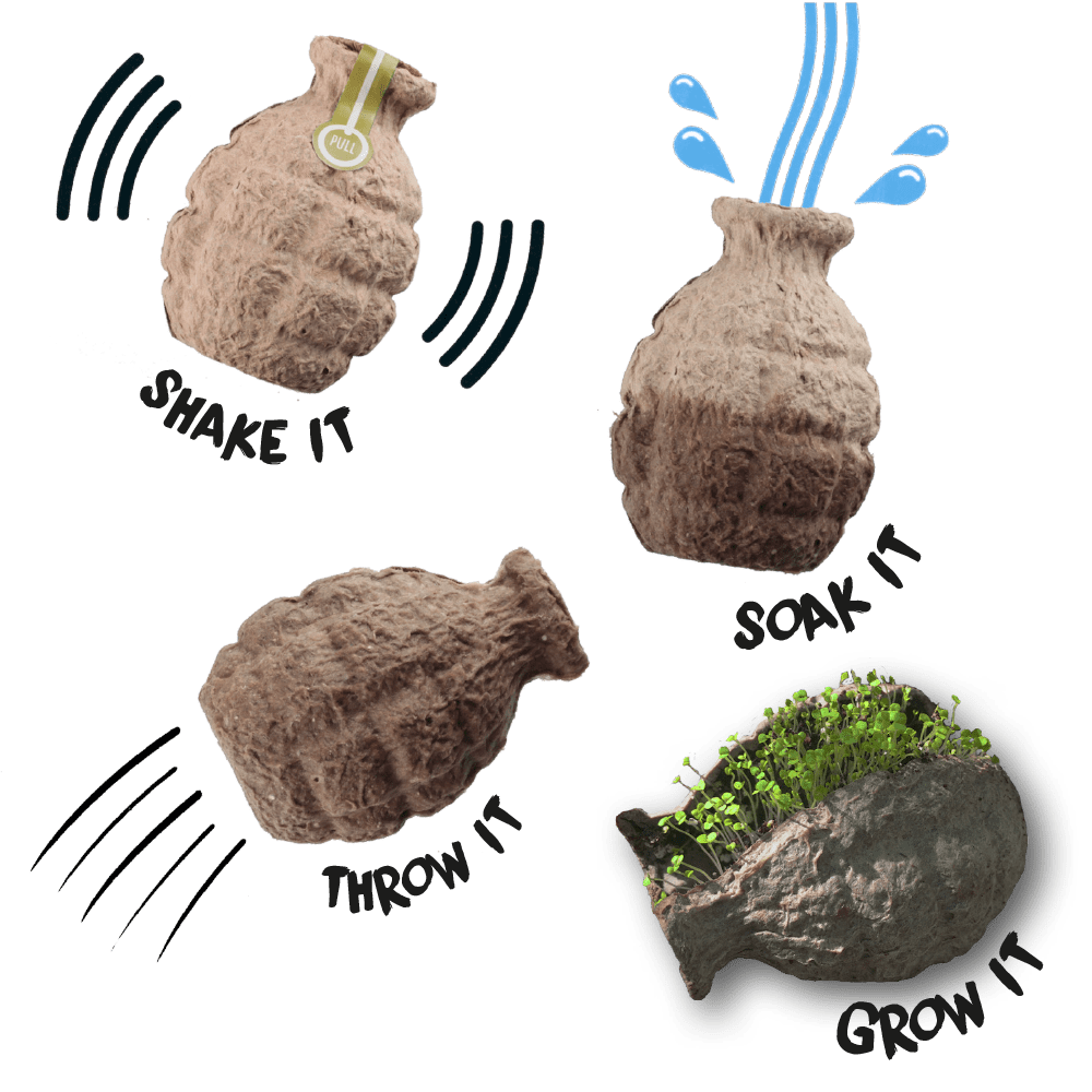 Pollinator Beebom Seedbom Wildflower filled paper Seed Bomb for bees