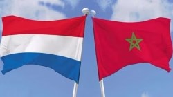 تفاصيل مباراة هولندا والمغرب دور الـ 32 من بطولة كأس العالم 2026
