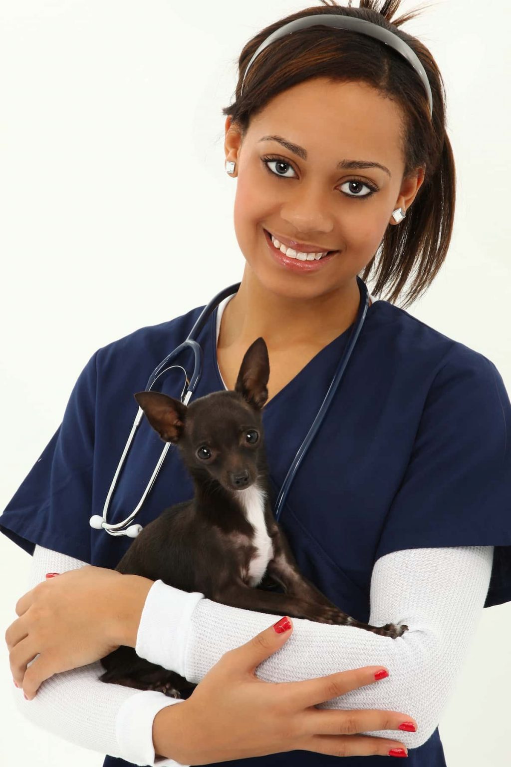 Veterinary Assistant CTE Program Certification Kaduceus
