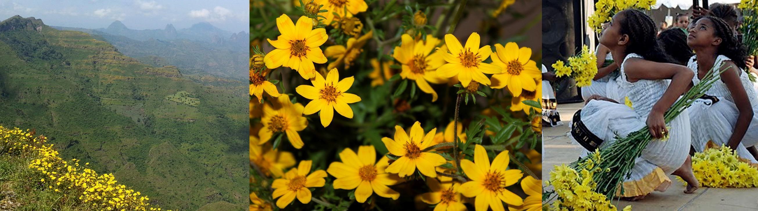 ENKUTATASH. ETHIOPIAN NEW YEAR Karibu Ethiopia Tour Packages