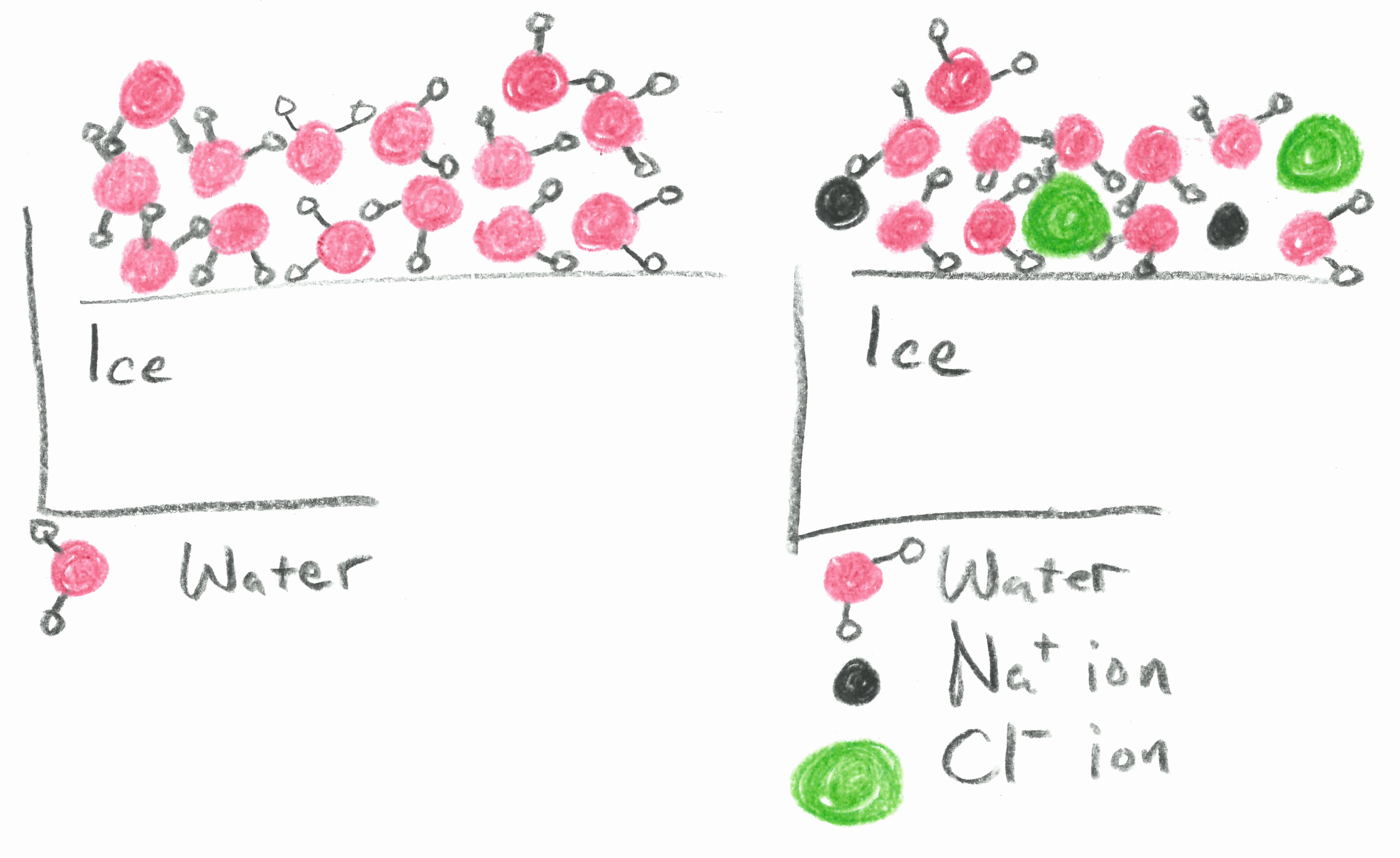 Student Worksheet for the Demonstration, Freezing Point Depression