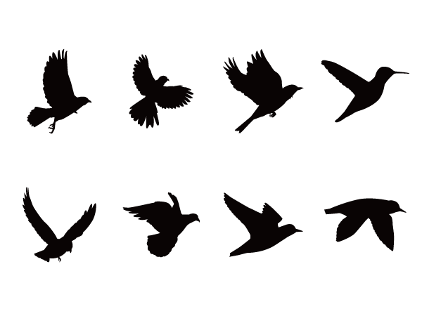 鳥のシルエットのセット のイラスト素材・ベクタ - . Image 15893671. 鳥 – Silhouette Design